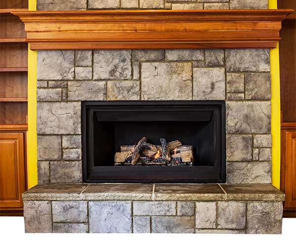 Gas Fireplace Insert