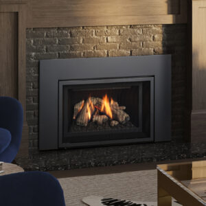 Regency - Atmosphere Gi25LE  Gas Insert - Regency