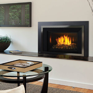 Regency - Horizon - HRI6E  Gas Insert - Regency