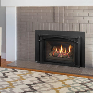 Regency - Liberty - LRI4E  Gas Insert - Regency