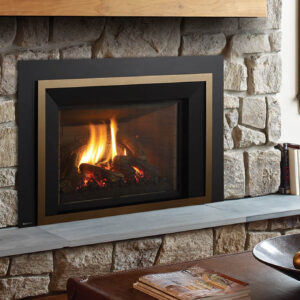 Regency - Liberty - LRI6E  Gas Insert - Regency