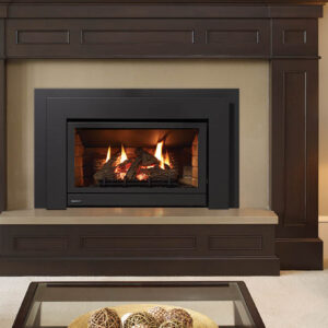 Regency - Energy U31  Gas Insert - Regency