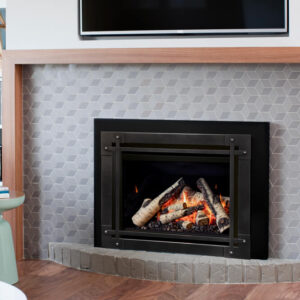 Valor - G3.5 Insert - Valor Gas Insert